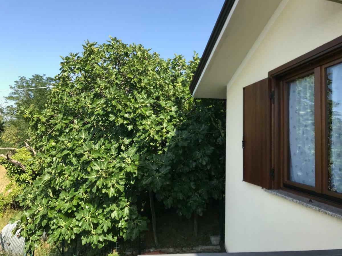 La Casa Di Nonna Bruna Múggia エクステリア 写真