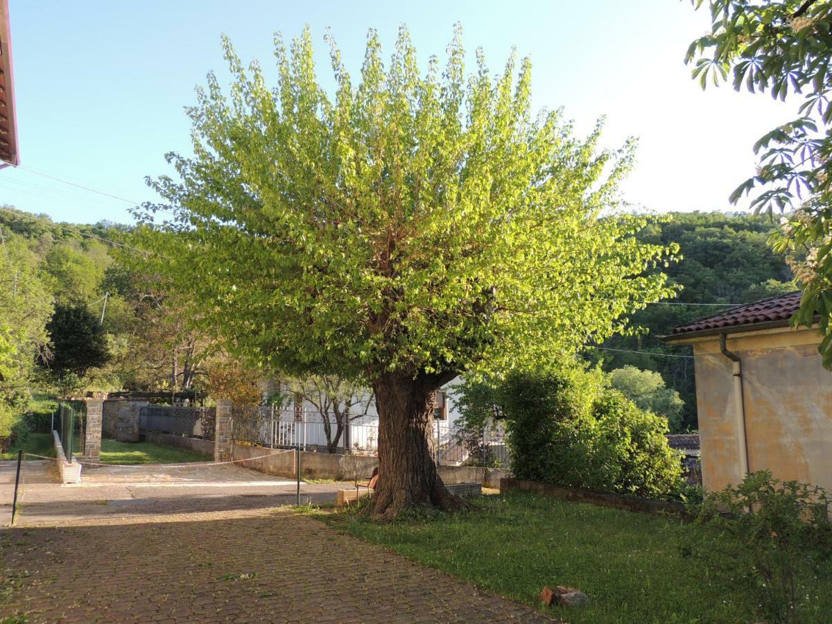 La Casa Di Nonna Bruna Múggia エクステリア 写真