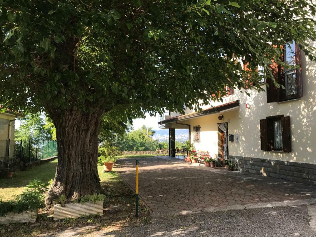La Casa Di Nonna Bruna Múggia エクステリア 写真